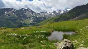 Bild: Berggeistweg mit Blick ins hintere Maroital und rechts der Kaltenberg 
