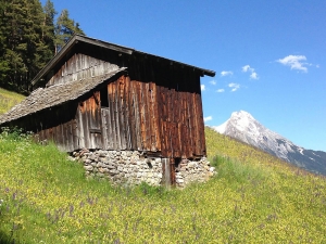 Bild: Auf dem Weg zur Nessleralm